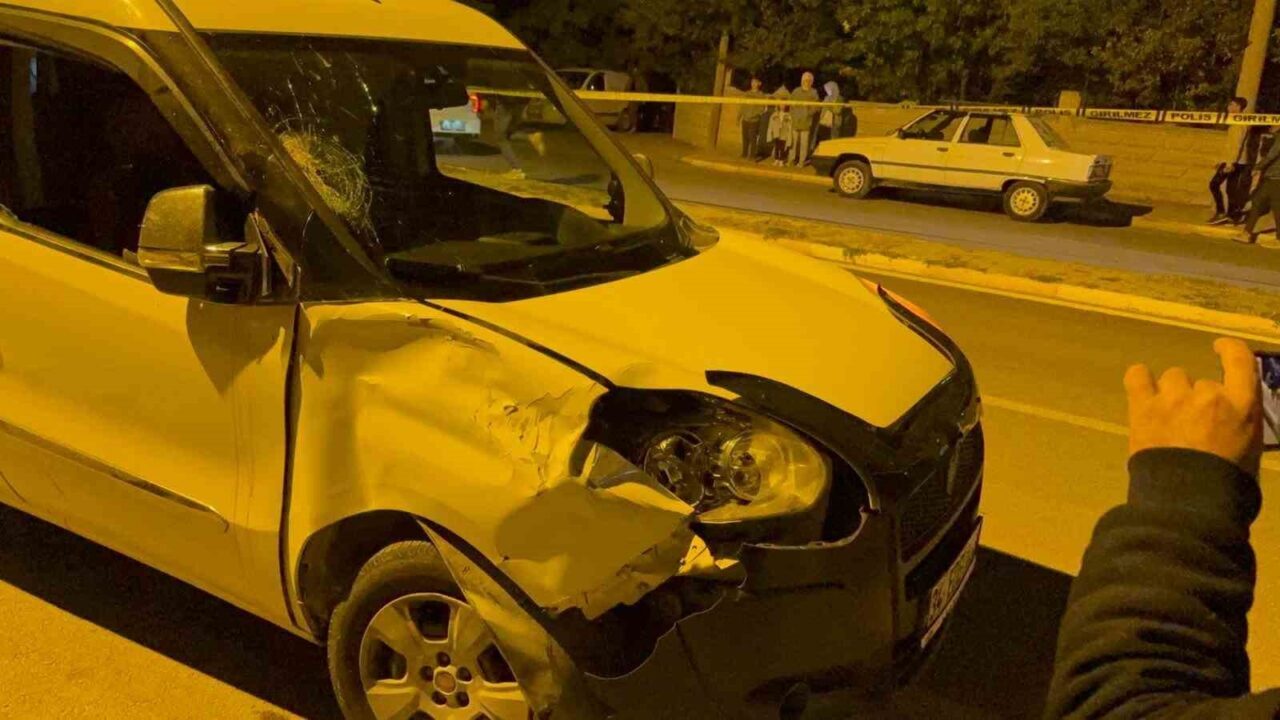 Afyonkarahisar'ın Bolvadin ilçesinde, M.E. isimli sürücünün kullandığı aracın, yol kenarında