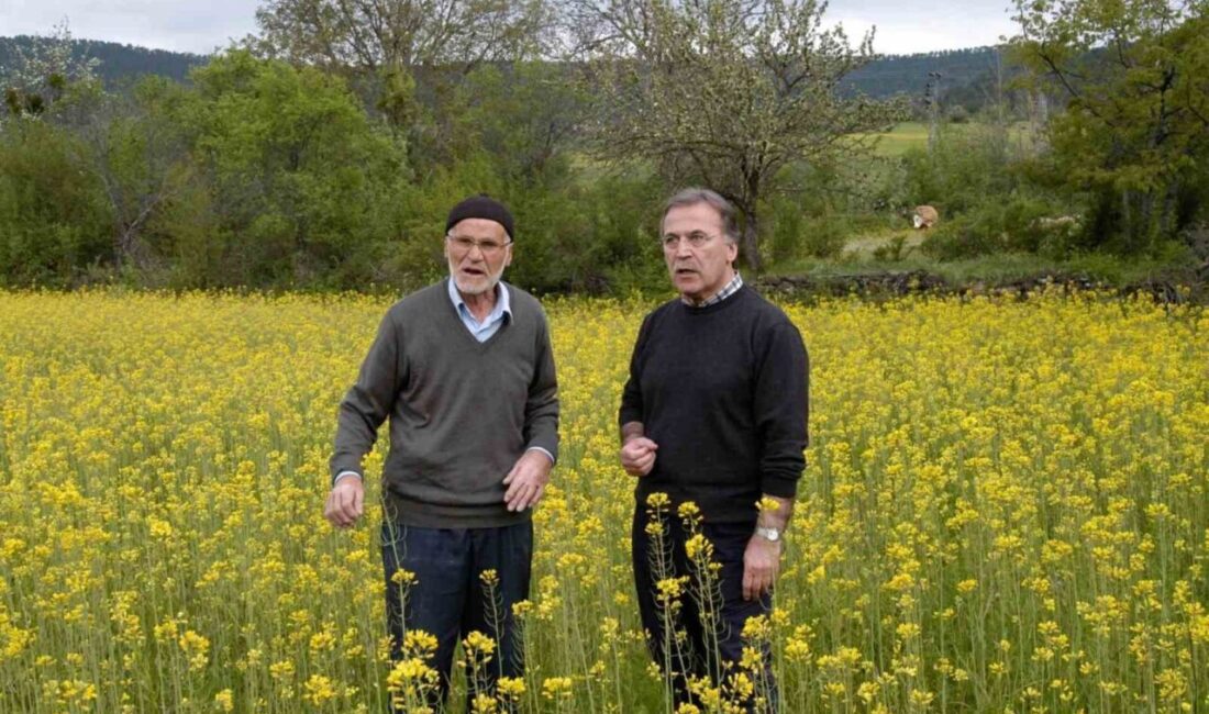Eski TBMM Başkanı Mehmet Ali Şahin’in babası Abdullah Şahin yaşamını yitirdi TBMM eski Başkanı Mehmet Ali Şahin’in babası Abdullah Şahin (97),