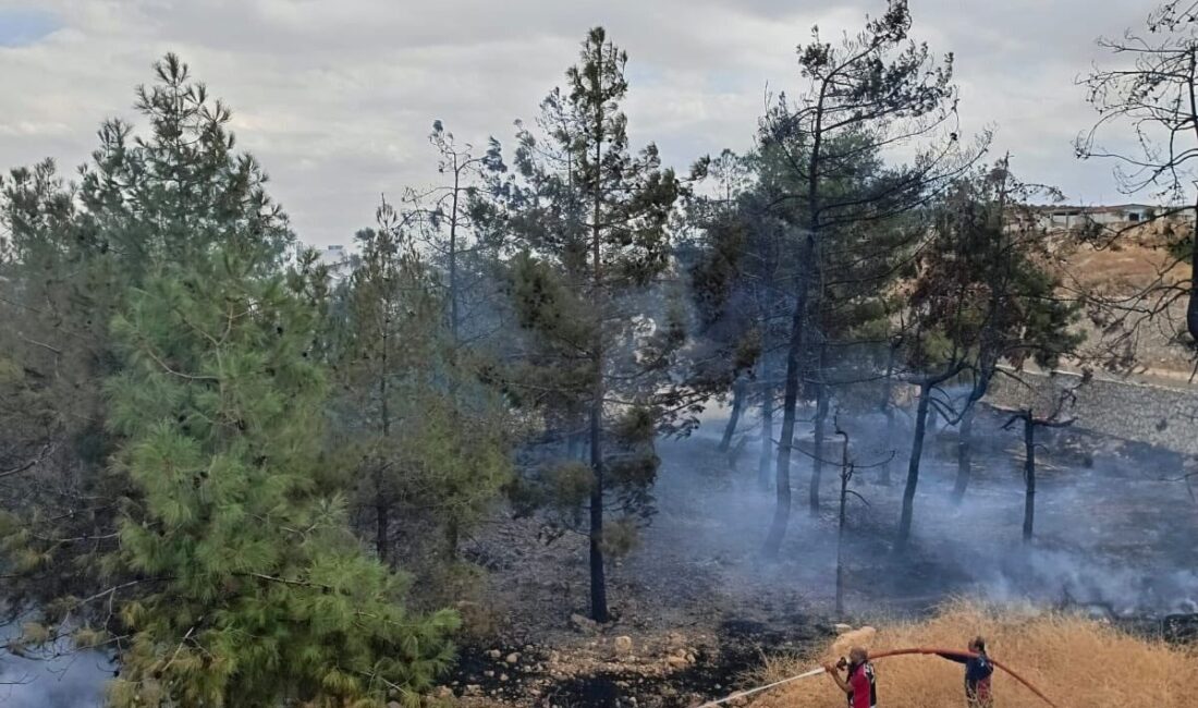 Adıyaman'ın Besni ilçesindeki bir fabrikada ağaçlık alanda çıkan yangın, itfaiye