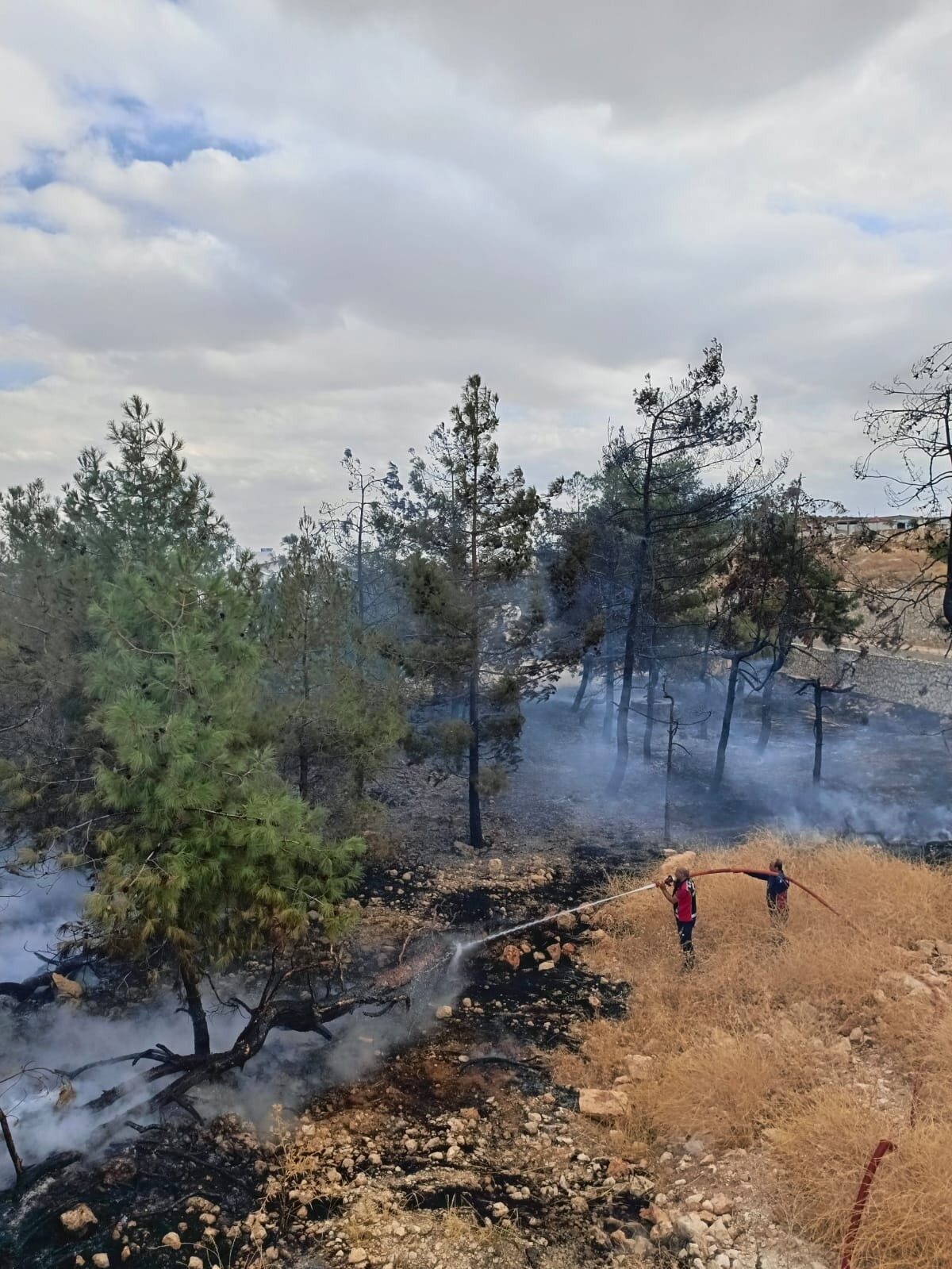 Adıyaman'ın Besni ilçesindeki bir fabrikada ağaçlık alanda çıkan yangın, itfaiye