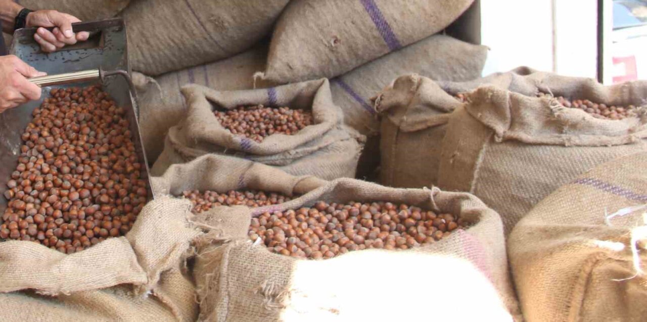 Avrupalı fındık ithalatçıları, Türkiye'deki yüksek fiyatlar nedeniyle alımları azalttı, bu