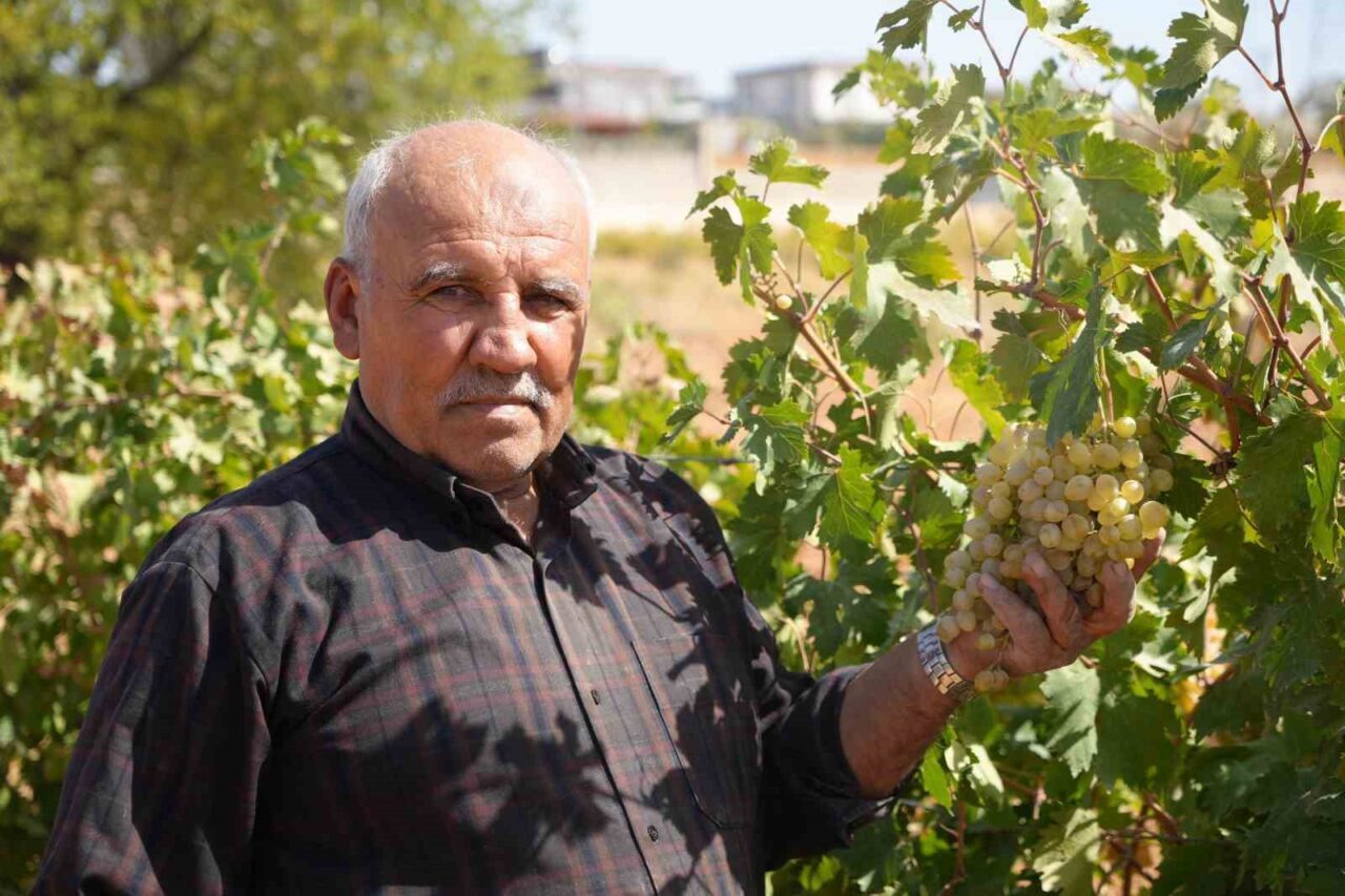 Gaziantep'te alternatif tarımı desteklemek isteyen Metin Ok ve oğlu Yakup