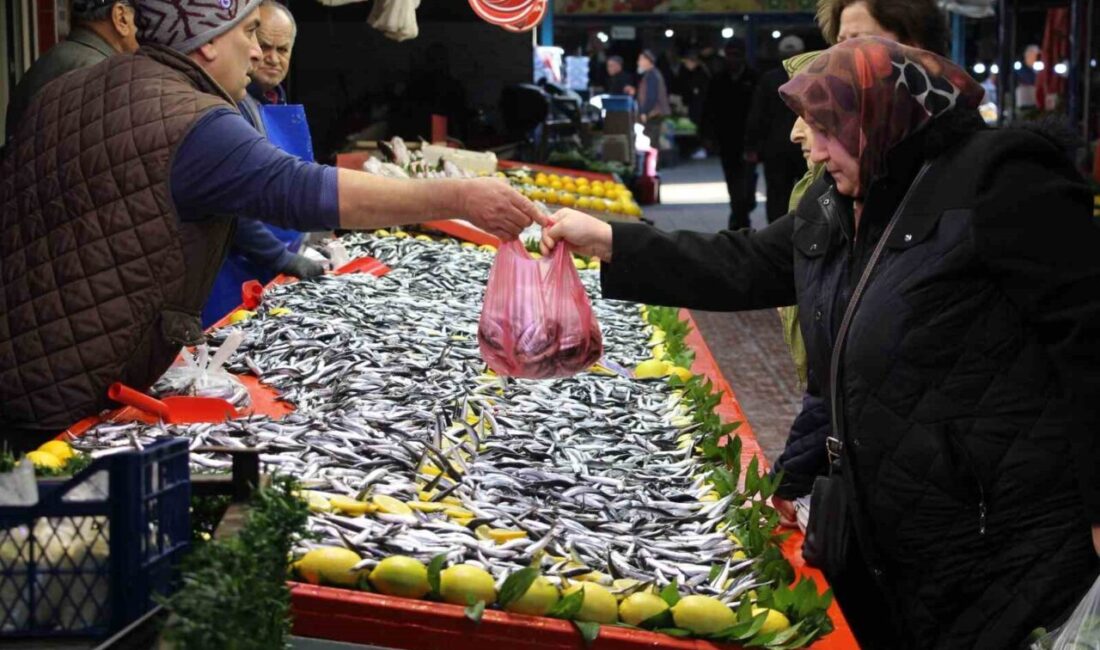 Bolu’da Hamsi Fiyatları Dramatiik Şekilde Düştü: Vatandaşlar Tezgahlara Akın Etti Bolu'da hamsi fiyatları 250 liradan 150 liraya gerileyince vatandaşlar ilgisini