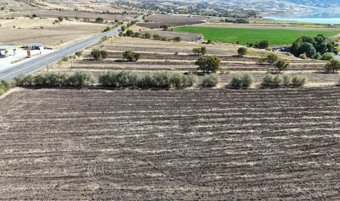 Fransa'da uzun yıllar yaşayan Hava Arslan, Tunceli'de sera projesi başlatarak