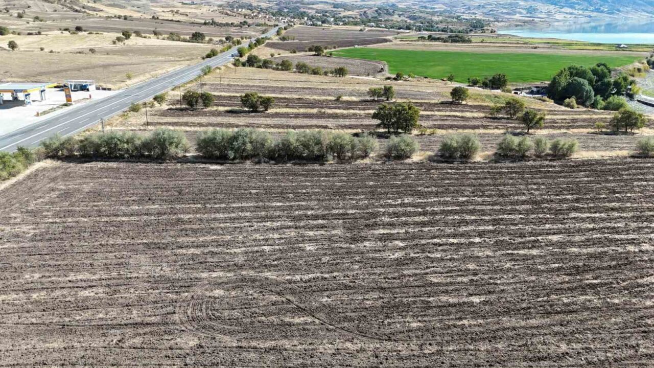 Fransa'da uzun yıllar yaşayan Hava Arslan, Tunceli'de sera kurarak yerel
