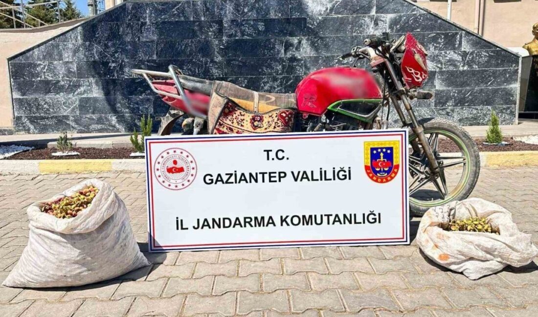 Gaziantep'te jandarma, son 30 günde yaptığı operasyonlarla 11 hırsızlık olayına