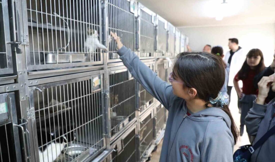 Gaziosmanpaşa Belediyesi, 4 Ekim Dünya Hayvanları Koruma Günü için özel