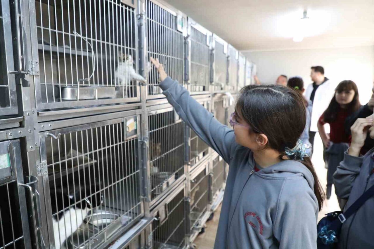Gaziosmanpaşa Belediyesi, 4 Ekim Dünya Hayvanları Koruma Günü için özel