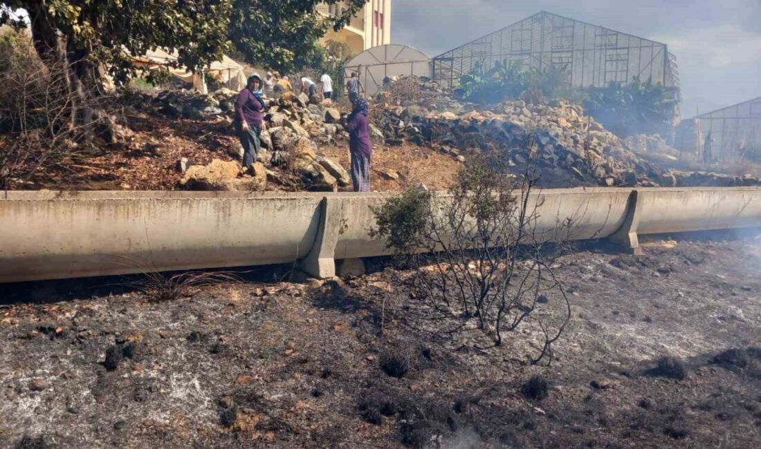 Gazipaşa’da Zirai Alanda Meydana Gelen Yangın, Hızla Kontrol Altına Alındı Antalya'nın Gazipaşa ilçesinde zirai alanda çıkan yangın, mahalle sakinlerinin ihbarı