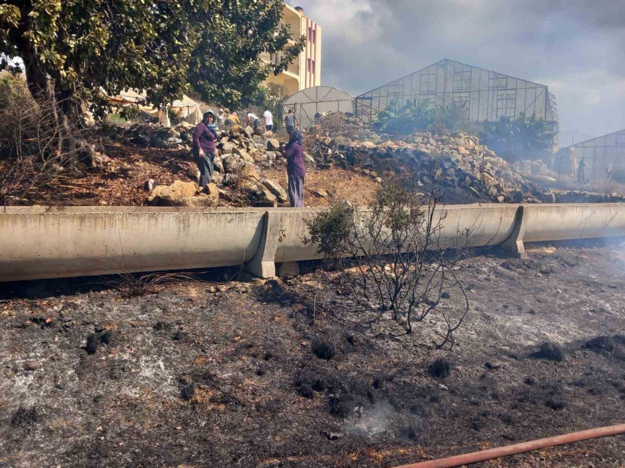 Antalya'nın Gazipaşa ilçesindeki Sarıağaç Mahallesi'nde zirai alanda çıkan yangın, mahalle