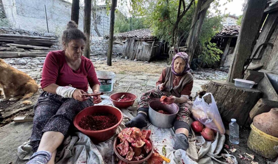 Akseki’de Ev Hanımları Geleneksel Yöntemlerle Nar Ekşisi Üretimine Başladı Antalya'nın Akseki ilçesinde ev hanımları, nar ekşisi üretimine başladı. Rahime