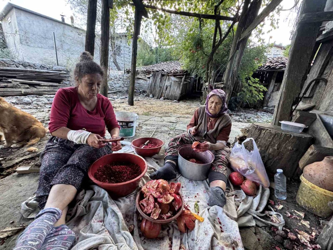 Antalya'nın Akseki ilçesinde ev hanımları, nar ekşisi üretimine başladı. Rahime