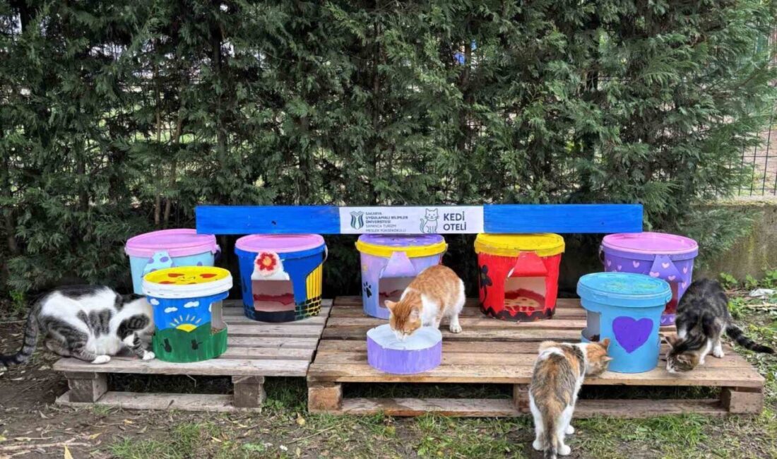 Sapanca MYO Öğrencilerinden Sürdürülebilirlik Projesi: Geri Dönüşümle Kedi Oteli Yapıldı Sakarya Uygulamalı Bilimler Üniversitesi Sapanca Turizm MYO öğrencileri, Dr. Erkan