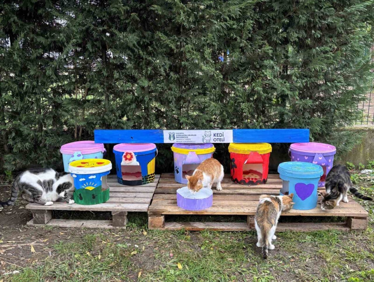 Sakarya Uygulamalı Bilimler Üniversitesi Sapanca Turizm MYO öğrencileri, Dr. Erkan