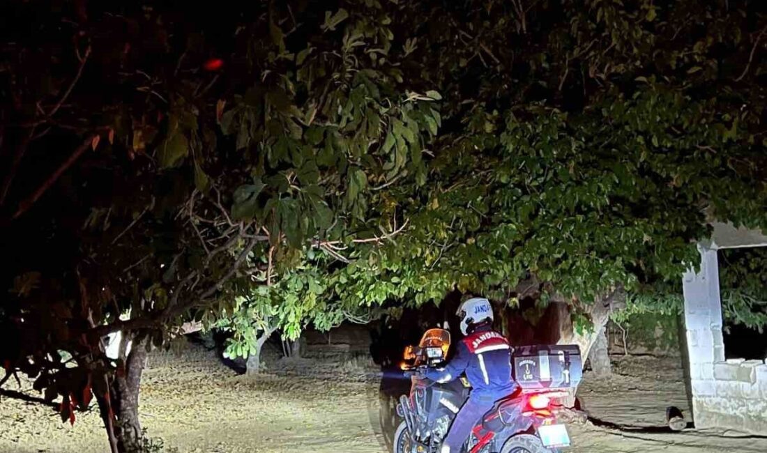 Germencik’te Jandarma, İncir Hırsızlıklarına Karşı Önleyici Tedbirler Alıyor Germencik Jandarma Komutanlığı, incir sezonunda hırsızlıklara karşı önlem almak amacıyla