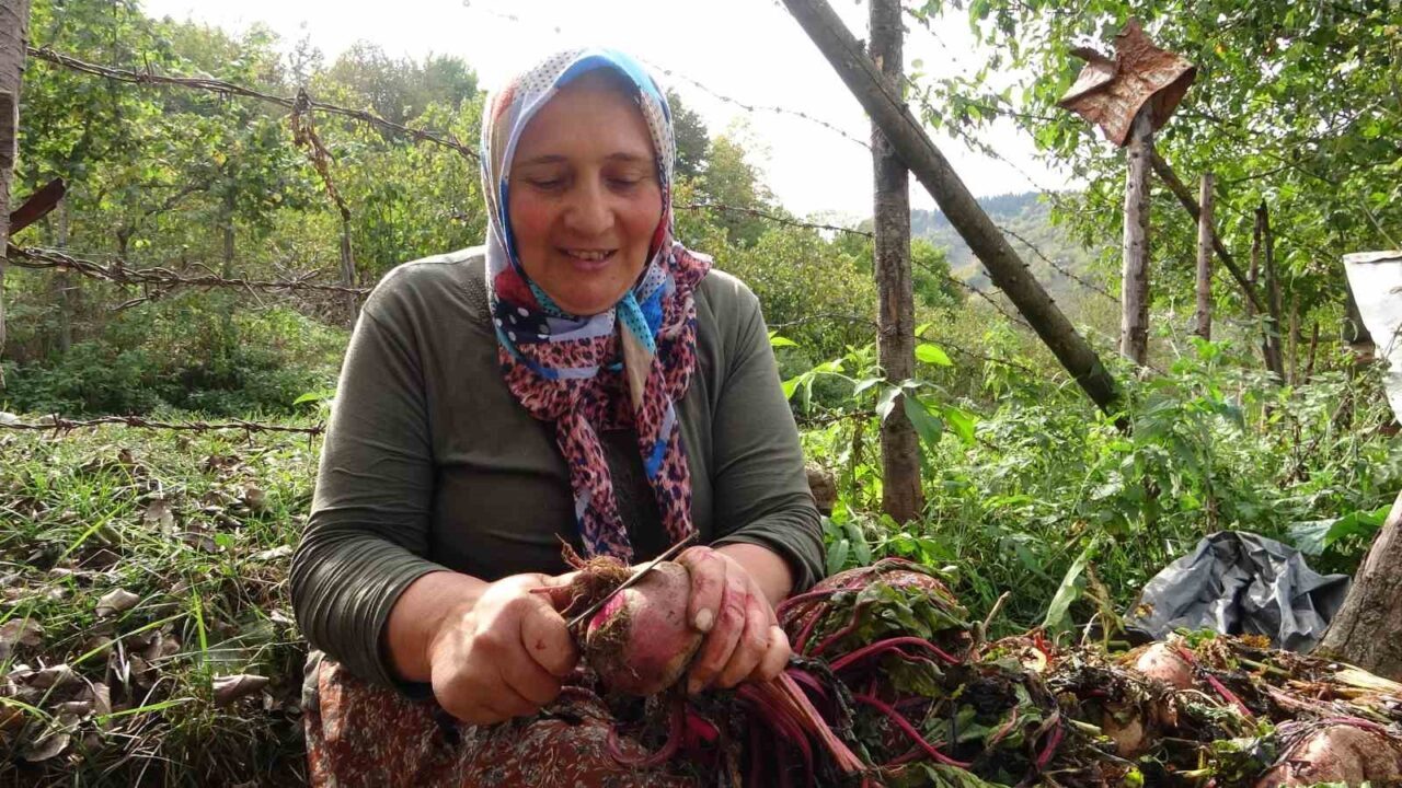 Giresun'un Yavuzkemal Beldesi'nde kadınlar, yaz boyunca yetiştirdikleri sebze ve meyvelerle