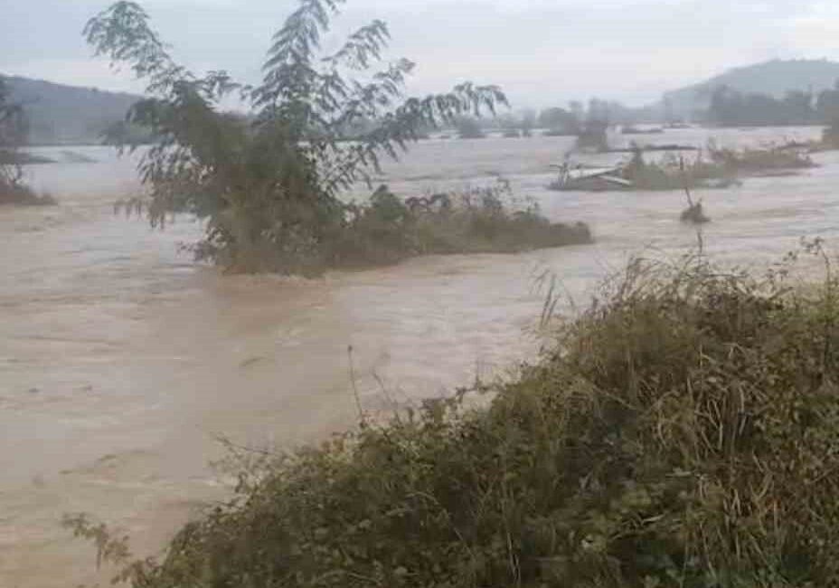 Çanakkale'nin Gökçeada ilçesinde gece meydana gelen şiddetli sağanak yağış, sele