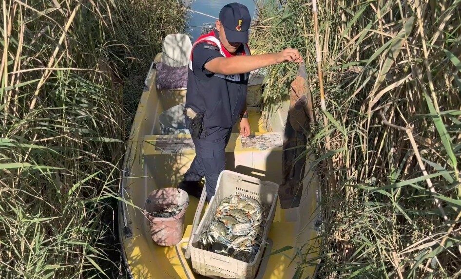 Mersin'in Silifke ilçesindeki Göksu Deltası'nda yasadışı mavi yengeç avlayan iki