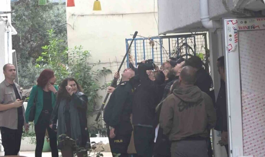 Yalova'nın Çınarcık ilçesinde ünlü sanatçı Güllü, 5. katın penceresinden düşerek