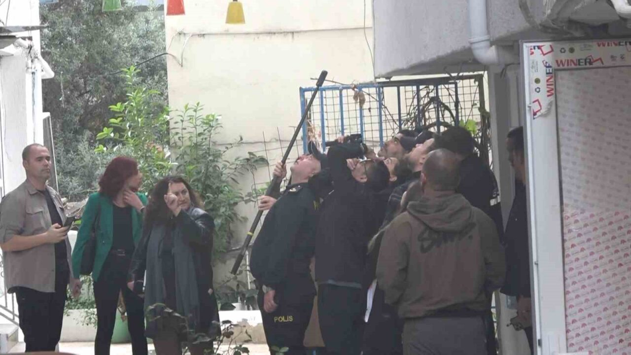 Yalova'nın Çınarcık ilçesinde ünlü sanatçı Güllü, 5. katın penceresinden düşerek