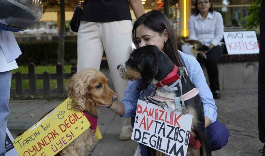 Gümüşhane'de 4 Ekim Hayvanları Koruma Günü etkinliği kapsamında birçok hayvansever,