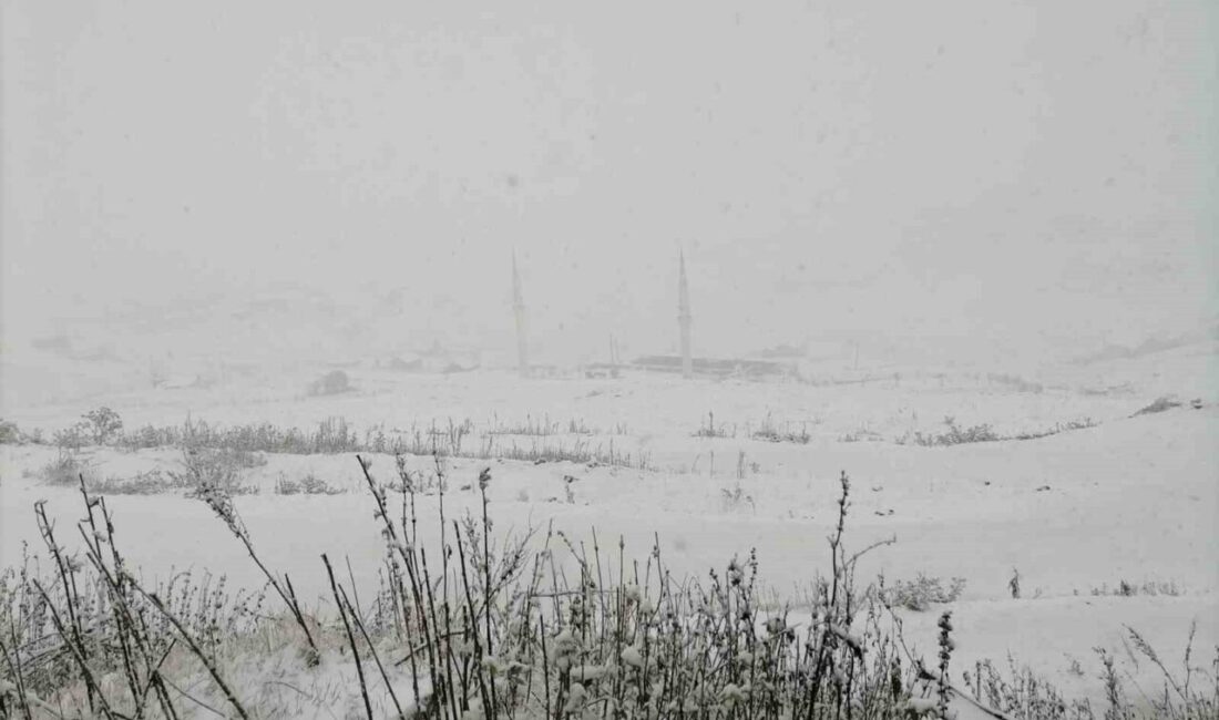 Gümüşhane'nin yüksek kesimlerinde kar yağışı etkili oldu. Kürtün ilçesindeki Kadırga