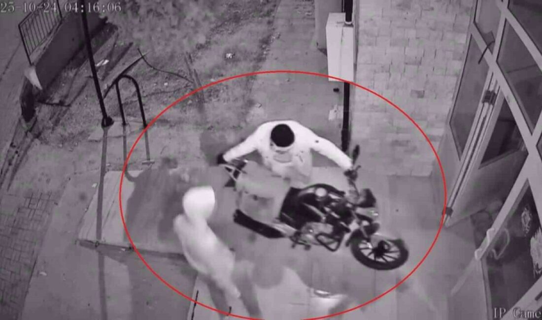 Hatay’da Motosiklet Hırsızı İki Şahıs Güvenlik Kamerasına Yansıdı Hatay'ın Reyhanlı ilçesinde, iki kişi güvenlik kamerasınca kaydedilen hırsızlık anında
