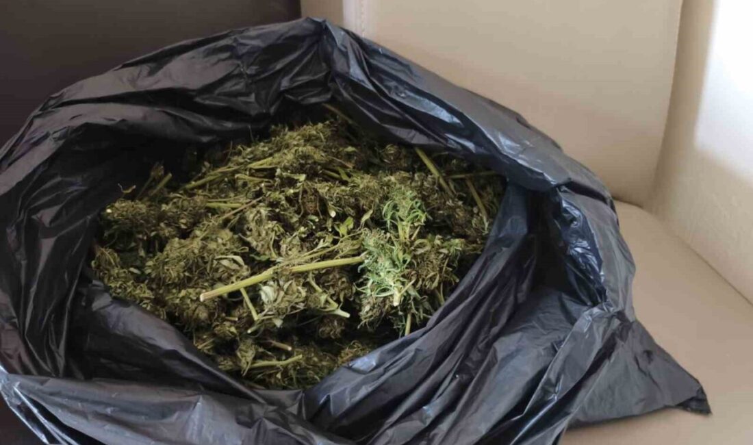 Bursa’nın İnegöl ilçesindeki bir evde düzenlenen operasyonda, Jandarma ekipleri güvercin