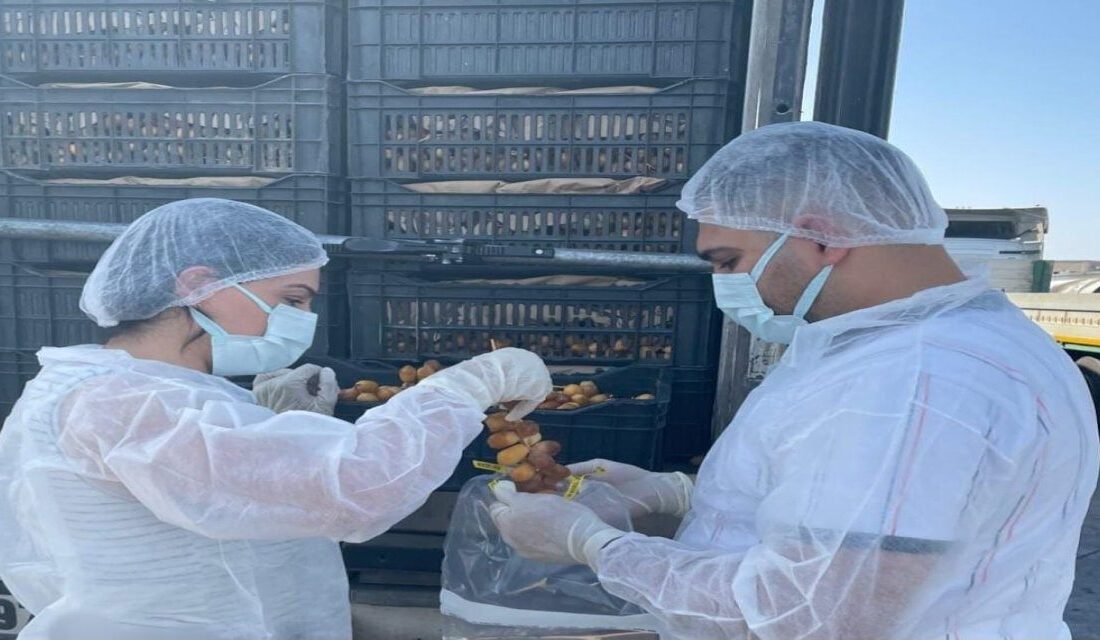 Şırnak’taki Habur Sınır Kapısında İthal Taze Hurma Üzerinde Kapsamlı Denetim Yapıldı Şırnak'taki Habur Sınır Kapısı'ndan ithal edilen taze hurmalar, gıda güvenliği