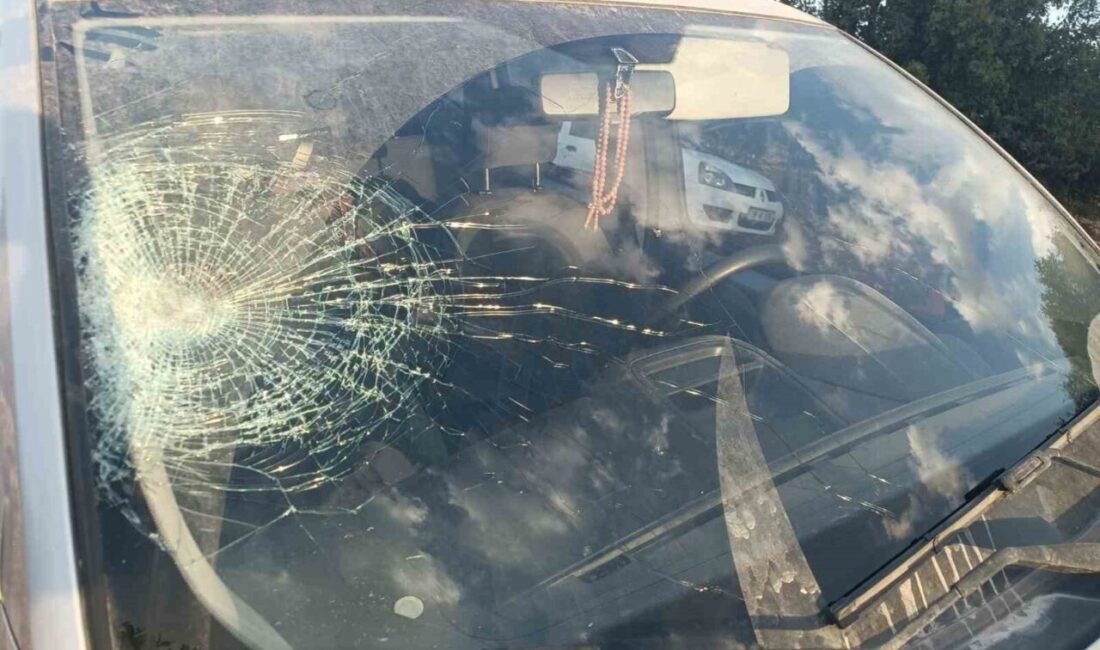 Adıyaman'ın Gölbaşı ilçesinde Yeter T.'nin kullandığı hafif ticari araç, yol