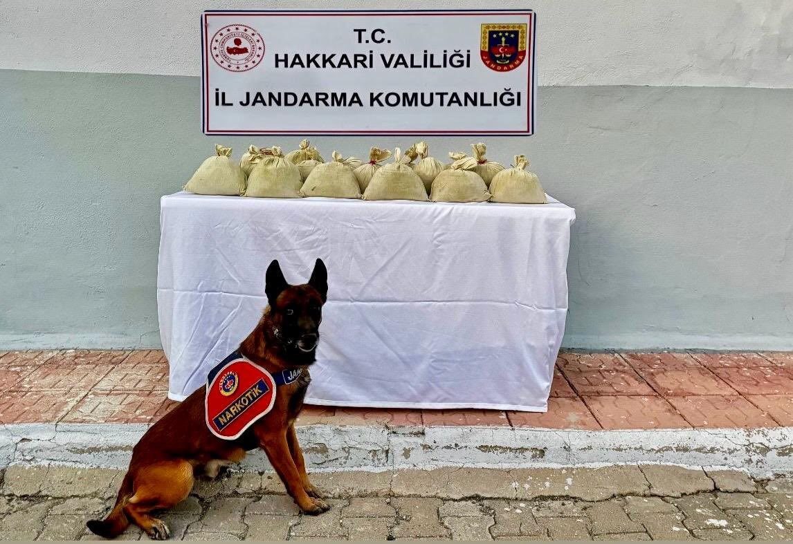 Hakkari’de Jandarma Operasyonunda Uyuşturucu Madde Ele Geçirildi, Bir Şüpheli Tutuklandı
