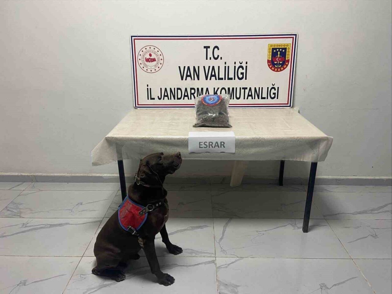 Van İl Jandarma Komutanlığı ve Hakkari İl Jandarma Komutanlığı'nın ortak