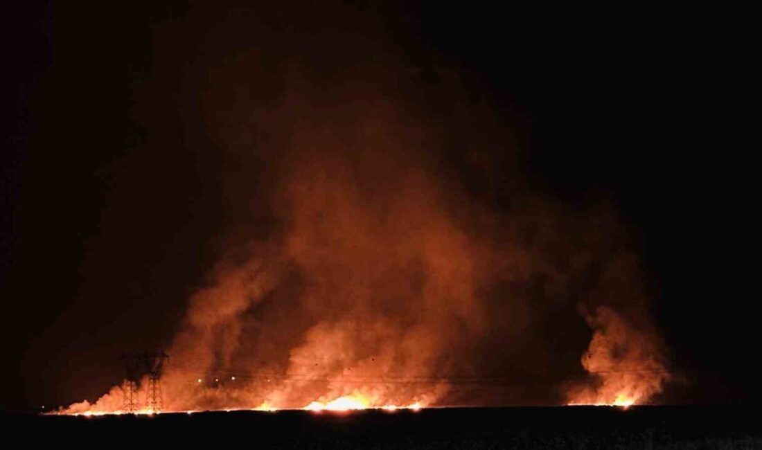 Hakkari'nin Yüksekova ilçesindeki Nehil Sazlığı'nda öğle saatlerinde çıkan yangın, rüzgarın