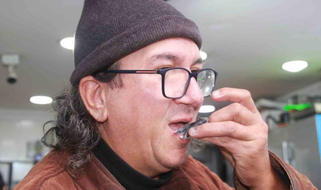 Hamsi Fiyatlarındaki Düşüş, Ordu’da Vatandaşları Sevindiriyor Ordu’da hamsi fiyatları, avlanma artışıyla birlikte 70 liraya kadar düştü.