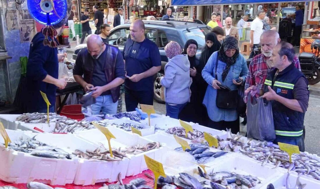 Samsun'da hamsi fiyatlarının 300 TL'den 150 TL'ye düşmesiyle talep arttı.