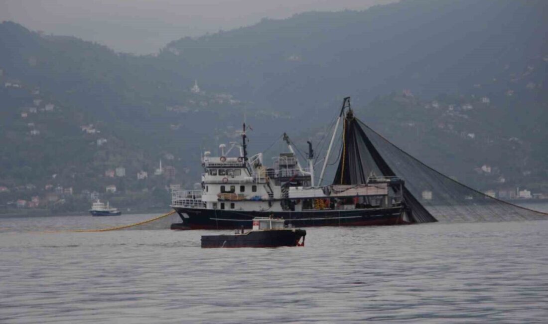 Karadeniz Hamsi Stoklarındaki Düşüş Balıkçılığı Tehdit Ediyor Karadeniz'de hamsi stoklarındaki azalma kaygı verici bir duruma işaret ediyor.