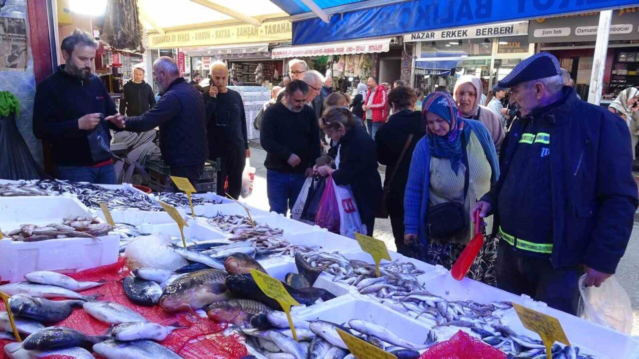 Samsun'da hamsinin fiyatının 300 TL'den 100 TL'ye düşmesiyle balıkçılarda yoğun