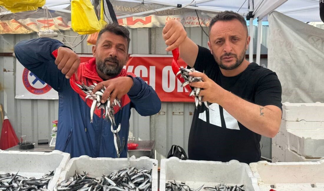 Zonguldak Merkez balık halinde yerli hamsinin kilogram fiyatı 70 TL'ye