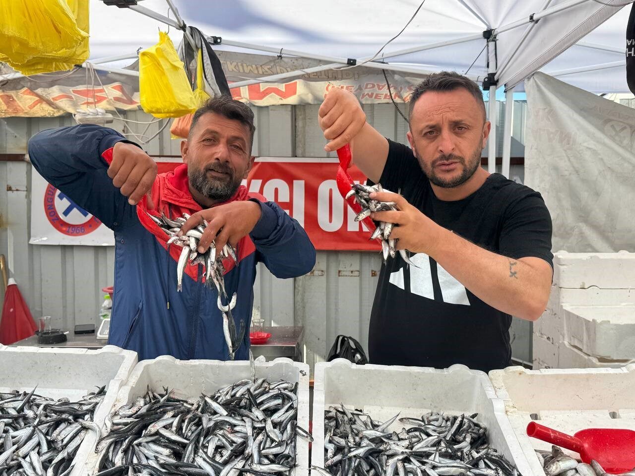 Zonguldak Merkez balık halinde yerli hamsinin kilogram fiyatı 70 TL'ye