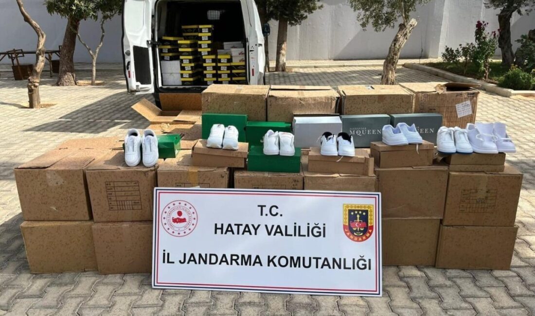 Hatay'da İl Jandarma Komutanlığı, uyuşturucu ve kaçakçılıkla mücadele kapsamında 36
