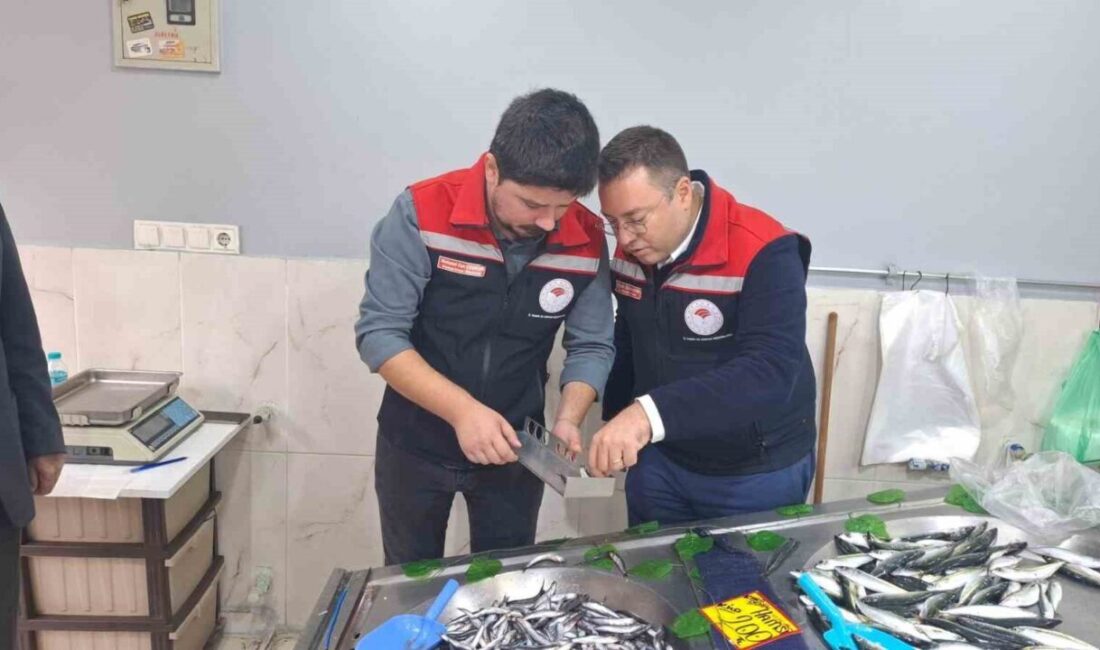 Tekirdağ'ın Hayrabolu ilçesinde balık satış noktaları, İlçe Tarım ve Orman