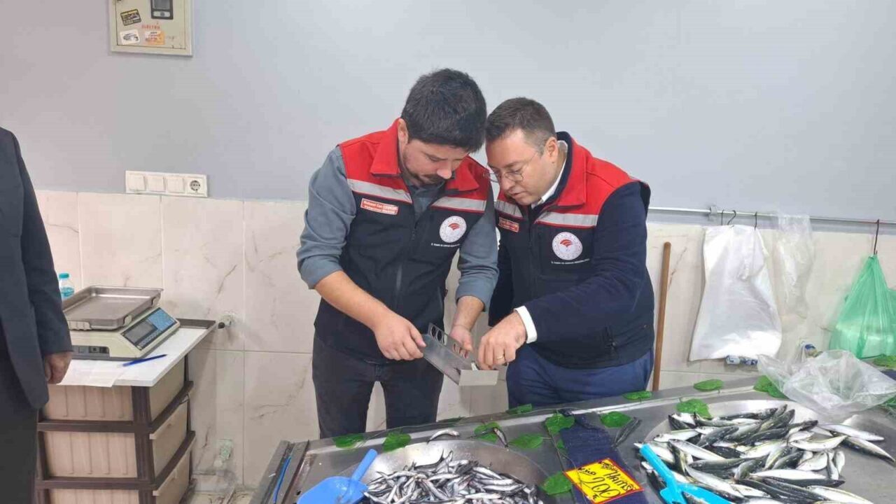 Tekirdağ'ın Hayrabolu ilçesinde balık satış noktaları, İlçe Tarım ve Orman