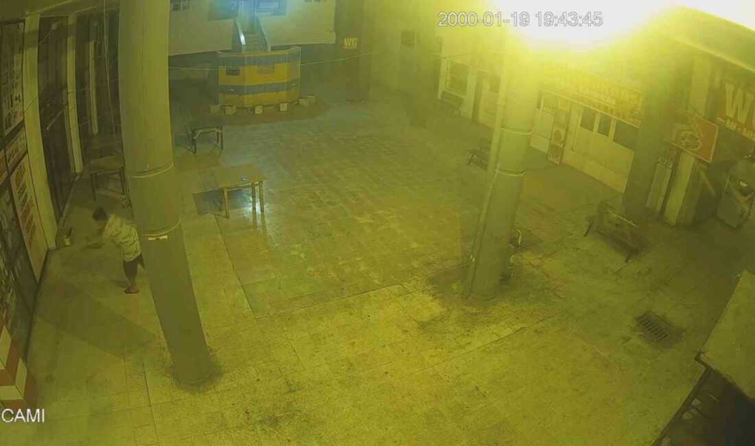 Adana'da 19 yaşındaki M.A.G., hediyelik eşya satan dükkanın camını kırarak