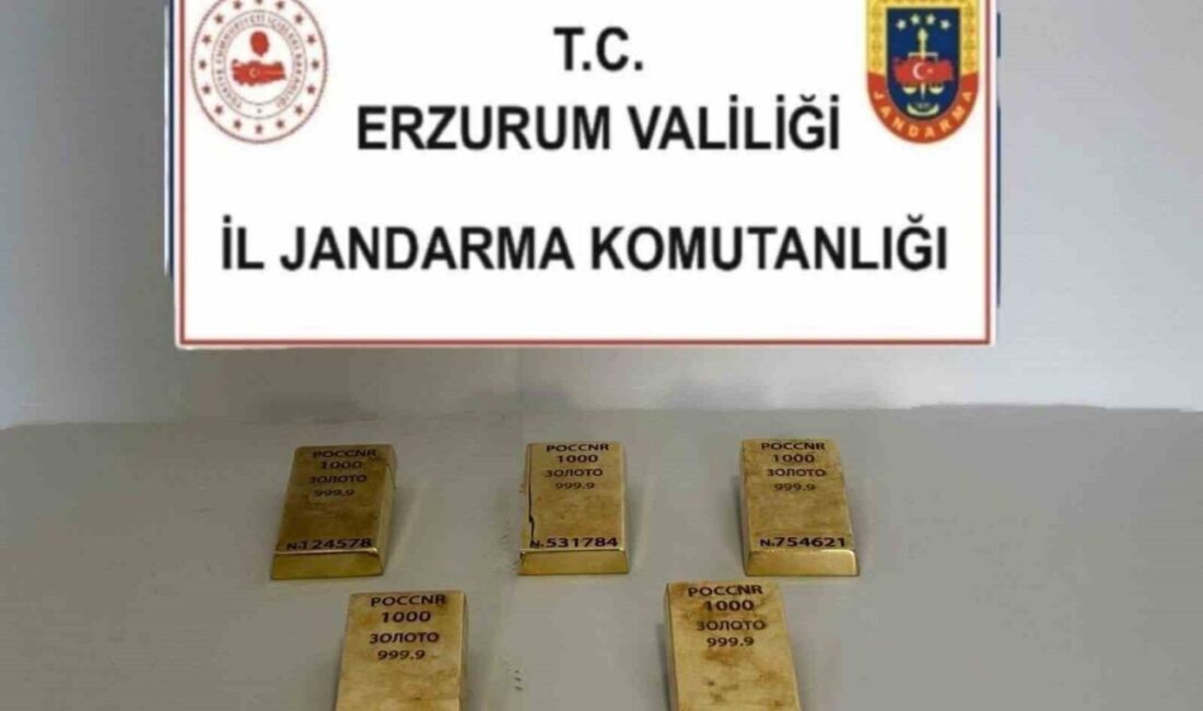 Erzurum'un Horasan ilçesinde, jandarma tarafından düzenlenen operasyonda, yasadışı yollardan getirildiği