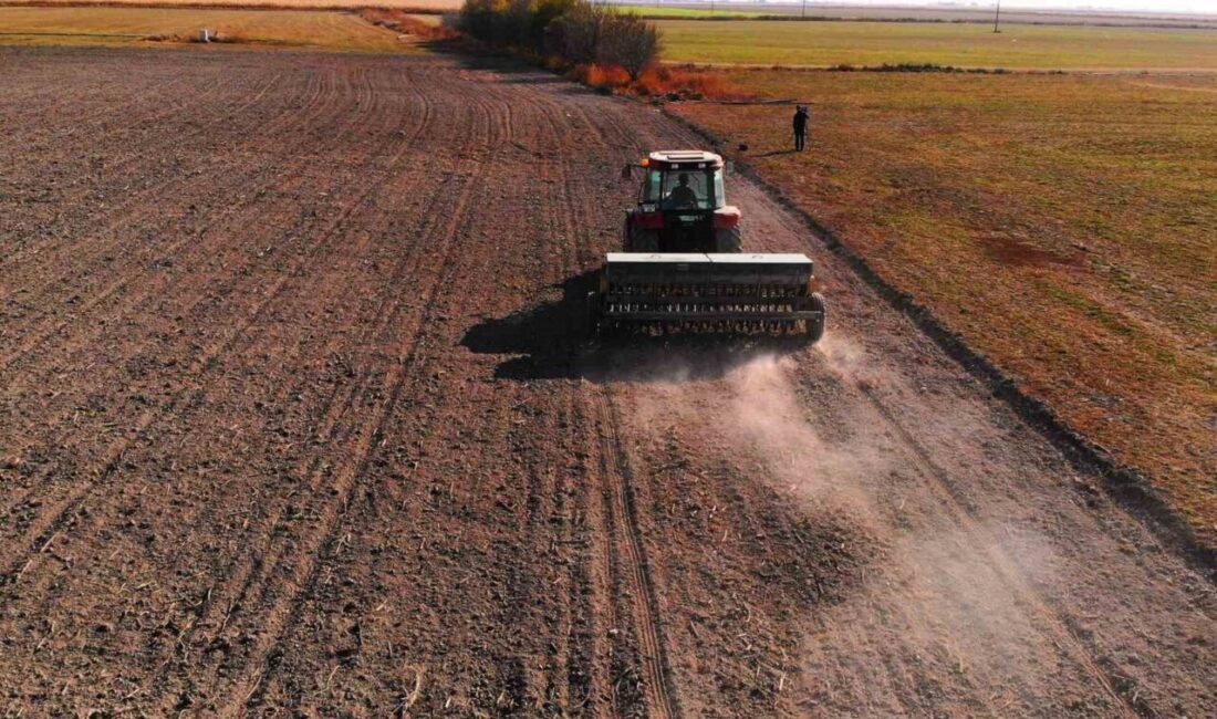 Konya Ovası'nda hububat ekimlerinin başlamasıyla uzmanlar, çiftçilere kaliteli tohum ve