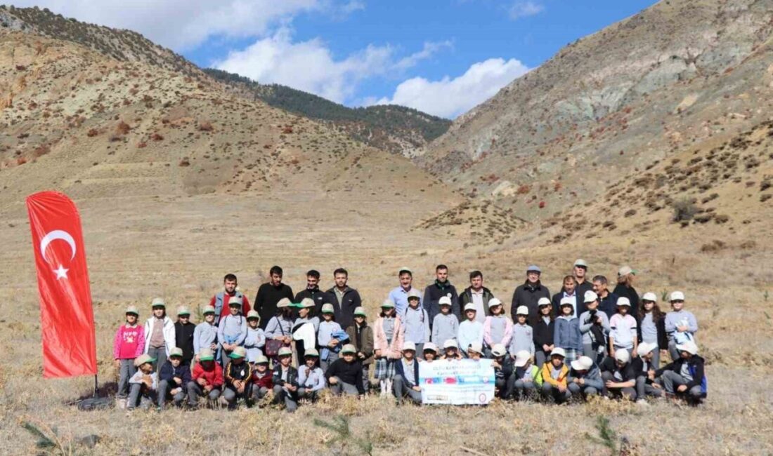 Erzurum'un Oltu ilçesindeki Karabekir İlkokulu, Polonya ve Litvanya ile ortak