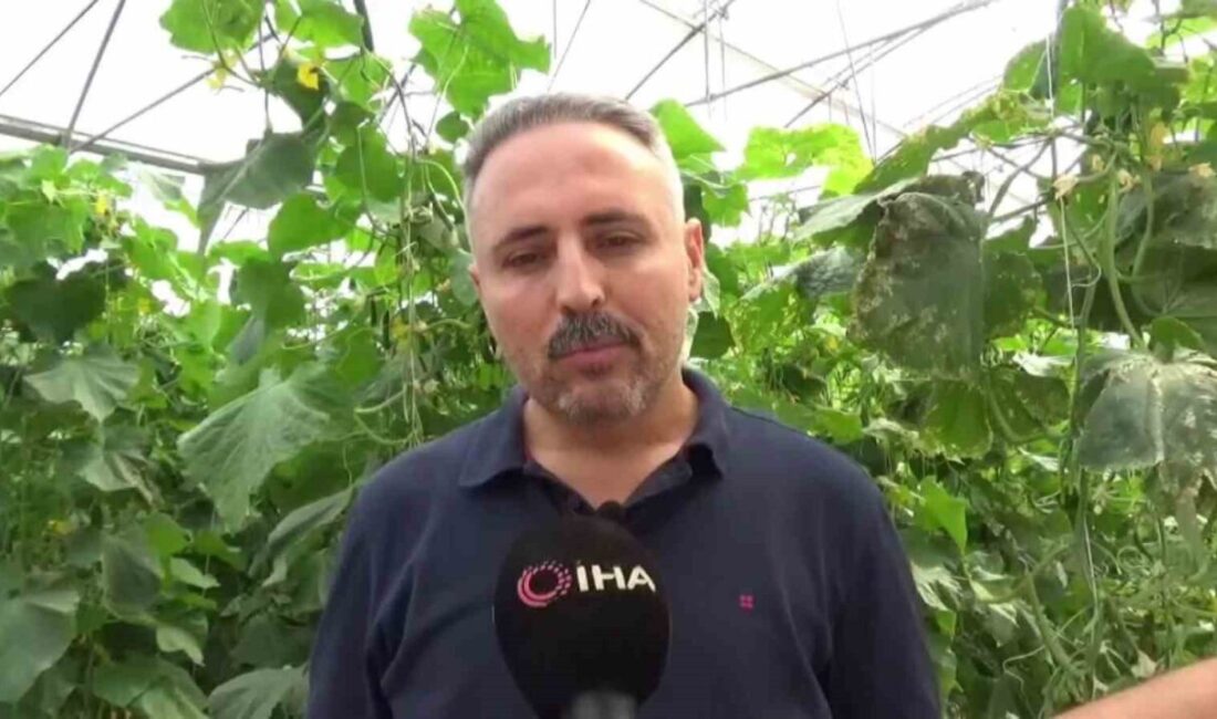 Diyarbakır’ın Ergani ilçesinde Serdar Güneş, devletten aldığı destekle 10 bin