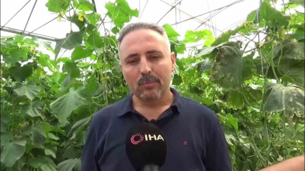 Diyarbakır’ın Ergani ilçesinde Serdar Güneş, devletten aldığı destekle 10 bin
