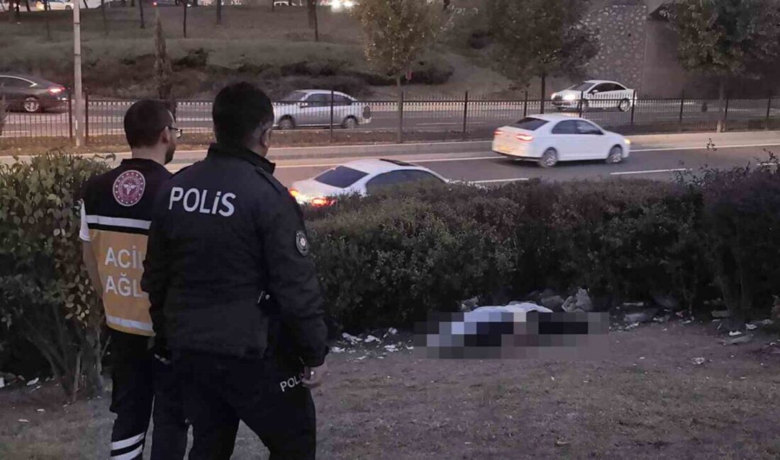 İnegöl’de Köprülü Kavşakta Erkeğe Ait Ceset Bulundu, Olayla İlgili Soruşturma Başlatıldı Bursa'nın İnegöl ilçesindeki köprülü kavşaktaki yeşil alanda bir erkek cesedi