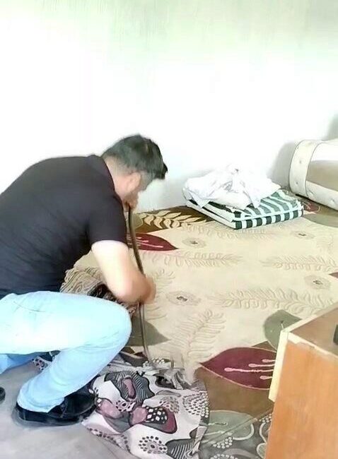 Hatay’da ‘Yılancı Kemal’ Yılanı Kendi Ellerinden Yakaladı Hatay'da 'Yılancı Kemal' olarak bilinen Kemal Başer, Payas'ta bir konteynere